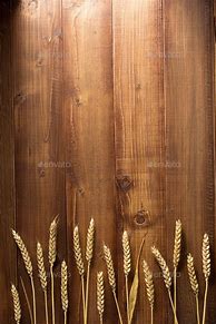 Image result for Whote Background with Grain