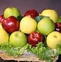 Image result for Common Types of Apple's