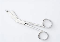Image result for Curved Iris Scissors