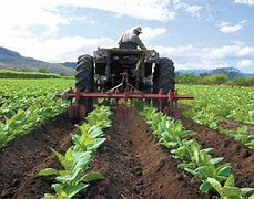 Image result for agropecuario