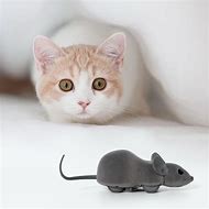 Image result for Topy Mouse Cat and Mouse