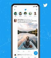 Image result for Twitter iOS Mobile Homepage