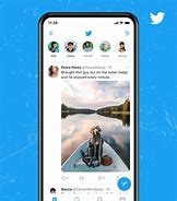 Image result for iPhone Twitter Screenshots