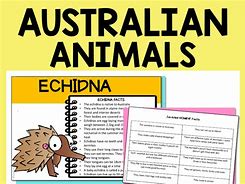 Image result for Boardmaker Australian Animals