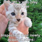 Image result for Cat Skin Meme