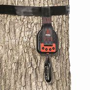 Image result for Tree Stand Safety Strap