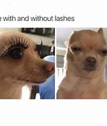 Image result for Dog Mascara Meme