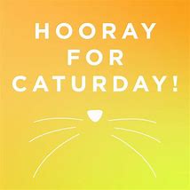 Image result for Caturday Quotes