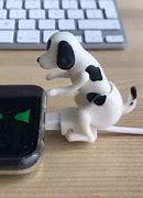 Image result for iPhone 11 Cord to Jack