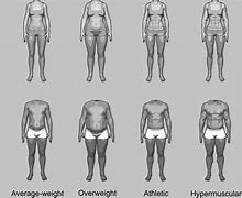 Image result for MASSV Weight Similarites