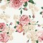 Image result for Cute Floral iOS 14 Wallpaper