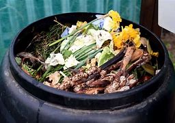 Image result for Fresh Compost
