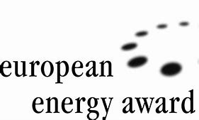 Image result for CNET EU Energy Logo