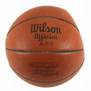 Image result for Wilson Vintage NBA Basketball's