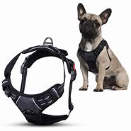 Image result for No Pull Dog Harness
