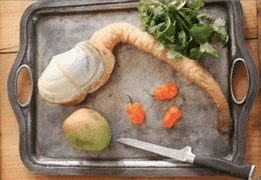 Image result for Geoduck Prepared