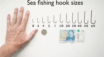Image result for Sea Fishing Hook Sizes