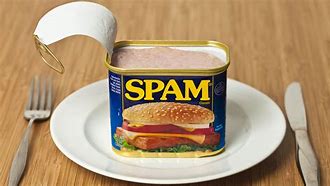 Image result for Spam Can SVG