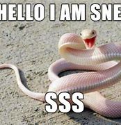 Image result for Ima Snake Meme