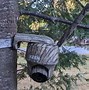 Image result for Tree Point Camera