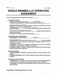 Image result for Single Member LLC Business Plan