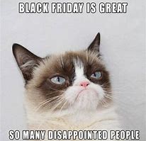 Image result for Grumpy Cat Memes Black Friday