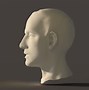 Image result for Human Head 3D Model Reference