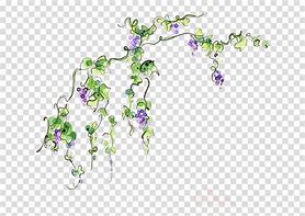 Image result for Jungle Vines Clip Art PNG