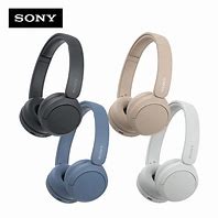 Image result for Wch520 Sony Headphones