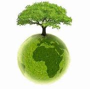 Image result for Environnement
