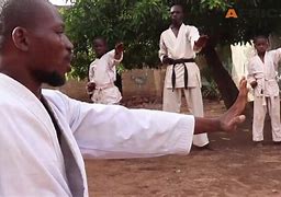 Image result for Karate Tree Mali