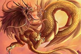 Image result for Rong Dragon