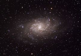 Image result for Triangulum Galaxy Thru Microscope