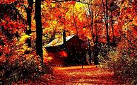 Image result for Cell Phone Wallpaper Autumn