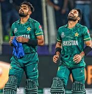 Image result for Cricket