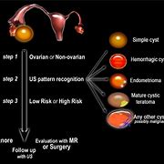 Image result for Ovarian Functional Cyst vs Septated Cyst On Ultrasound