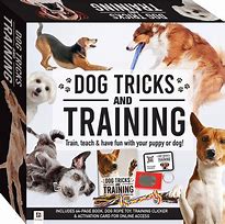 Image result for Dog Tricks and Training Book