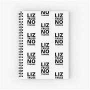 Image result for Liz Truss Angry