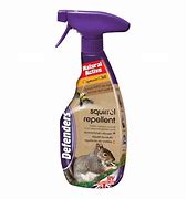 Image result for Squirrel Repellent Spray