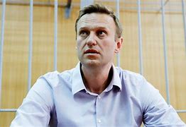Image result for Alexei Navalny Missing