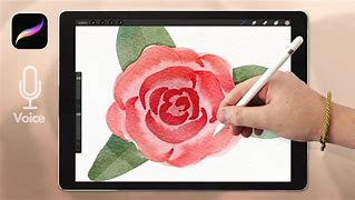 Image result for Watercolor Rose Procreate