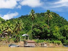 Image result for Kalimantan River