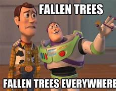 Image result for Tree Falling Meme