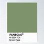 Image result for Panton Verde