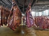 Image result for Intensive Factory Farming