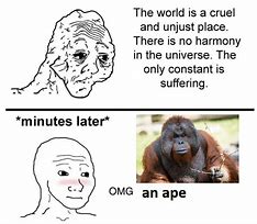 Image result for Actuation Ape Meme
