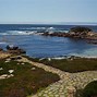 Image result for Haven Otter Cove