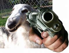 Image result for Hand with Gun Meme