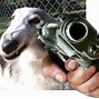 Image result for Angry Doge with Gun