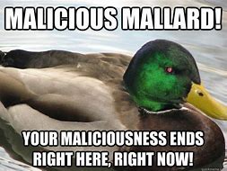 Image result for Malicious Advice Mallard
